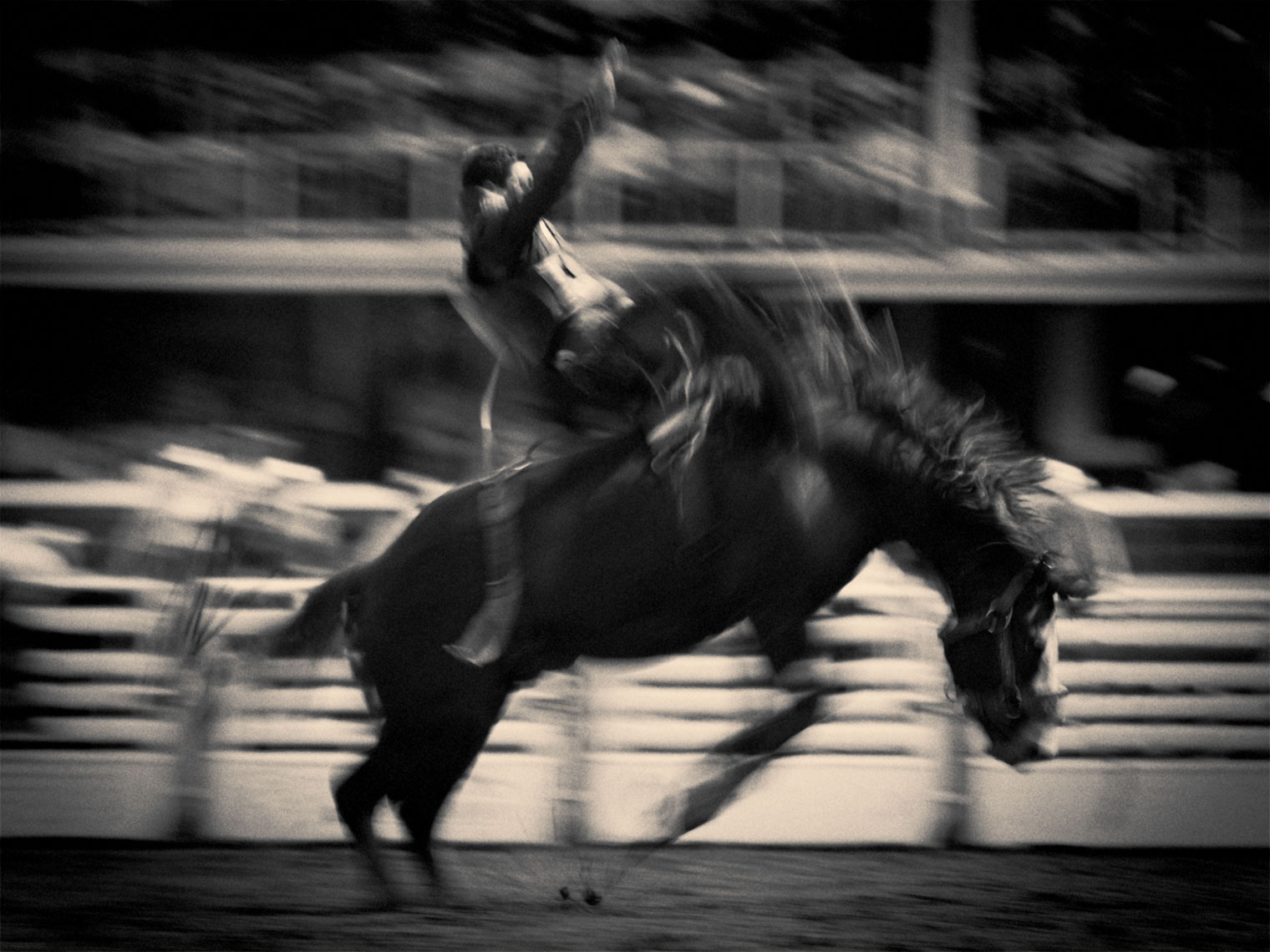 30x40_RG13532-1